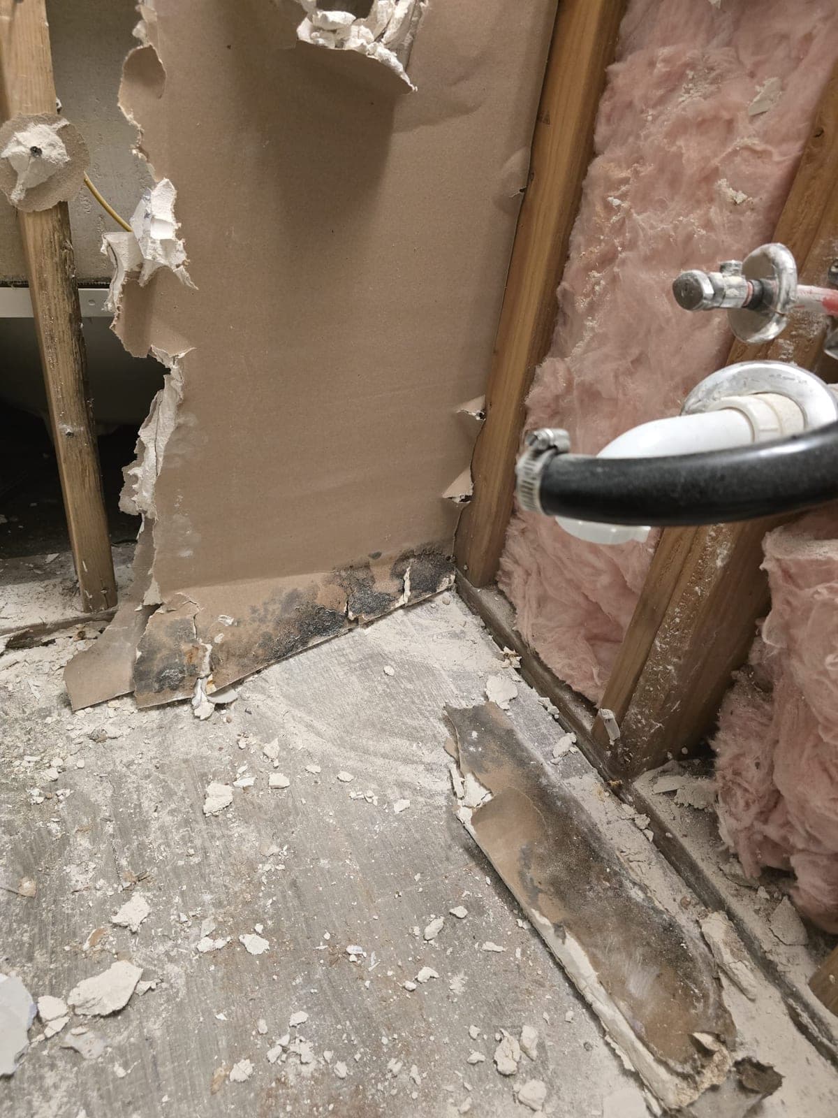 Opened bathroom wall showing black mold at the base of drywall beside exposed studs, insulation, and sink plumbing