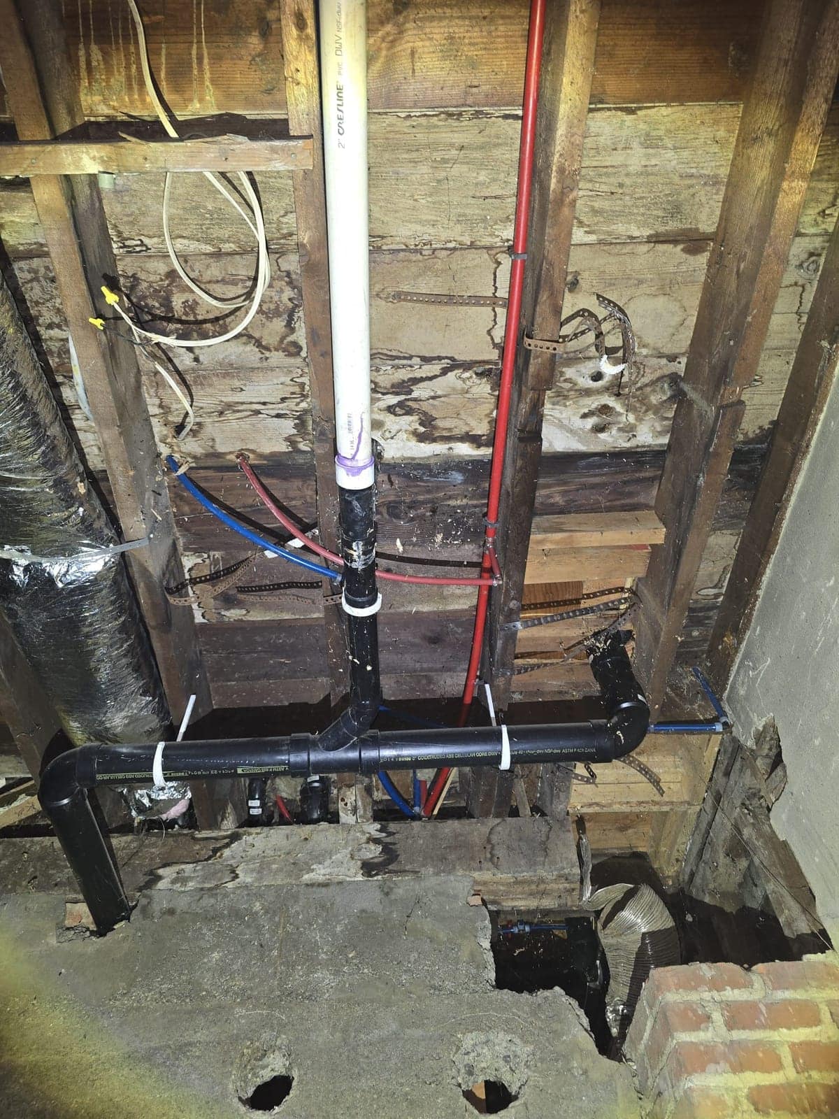 Opened wall cavity with drain and supply lines and water-stained, mold-spotted sheathing